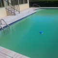 Possible Causes of Cloudy or Green Pool Water