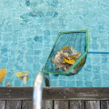 The Importance of Skimming and Vacuuming Your Pool