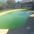 Understanding Algae Growth in Pools