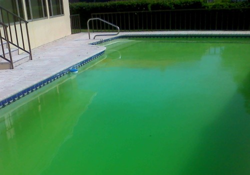 How to Prevent and Treat Algae in a Pool