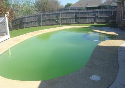 Understanding Algae Growth in Pools