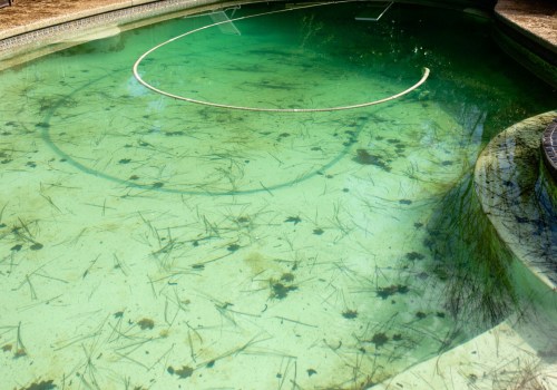 Natural Methods for Algae Control in Pools: Maintaining a Clean and Healthy Swimming Pool